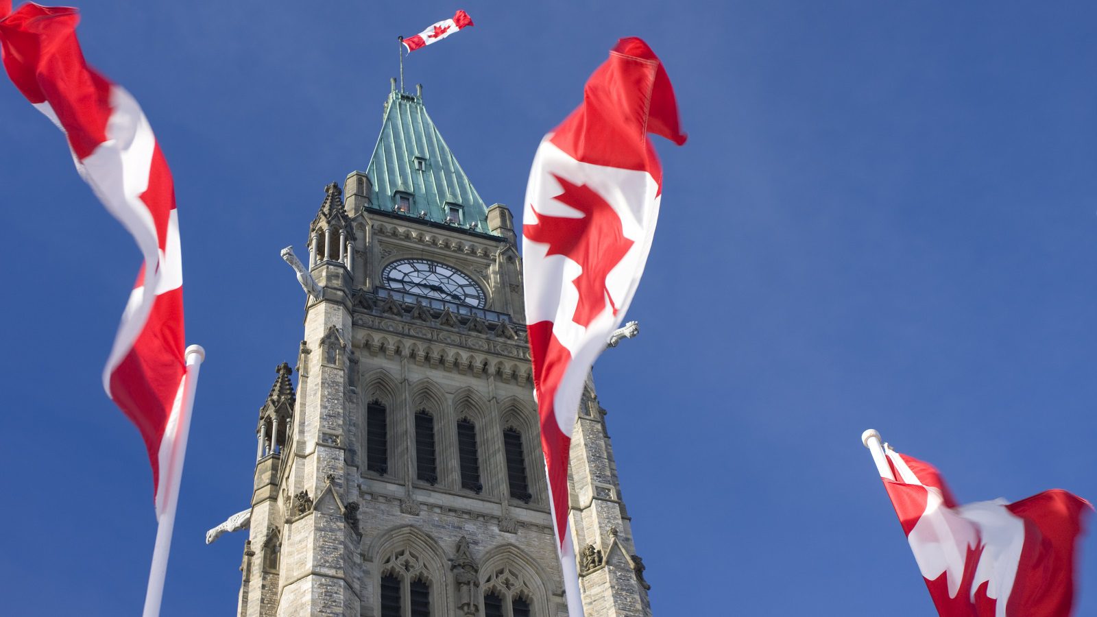 Featured image for “Participating in Industry Advocacy”