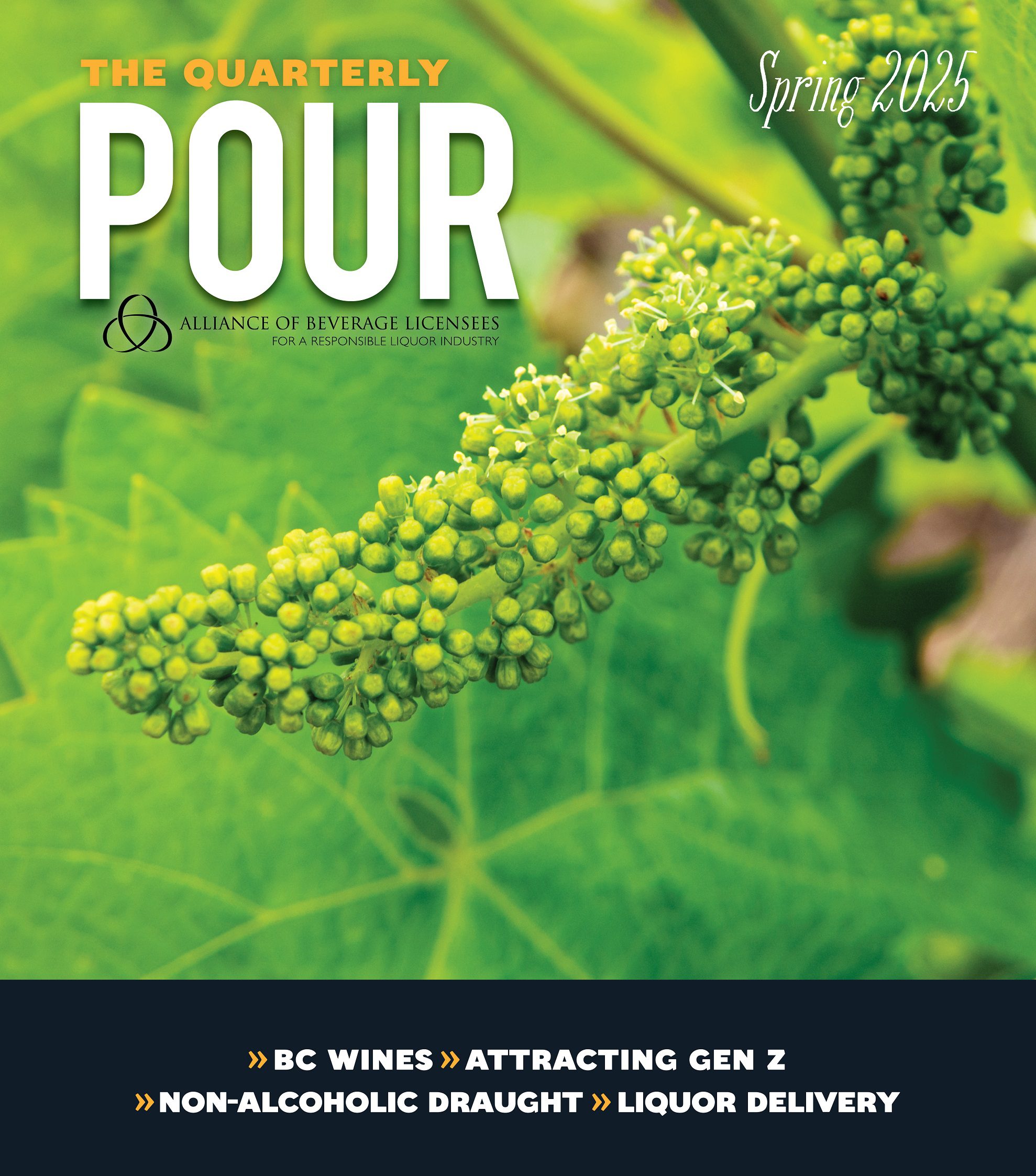 Featured image for “Spring 2025”